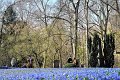 Fruehling2012   044